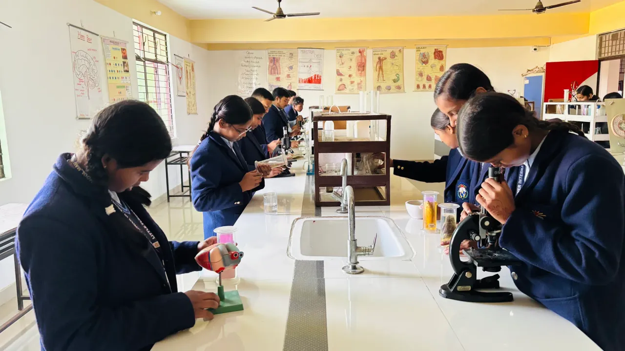 School experience