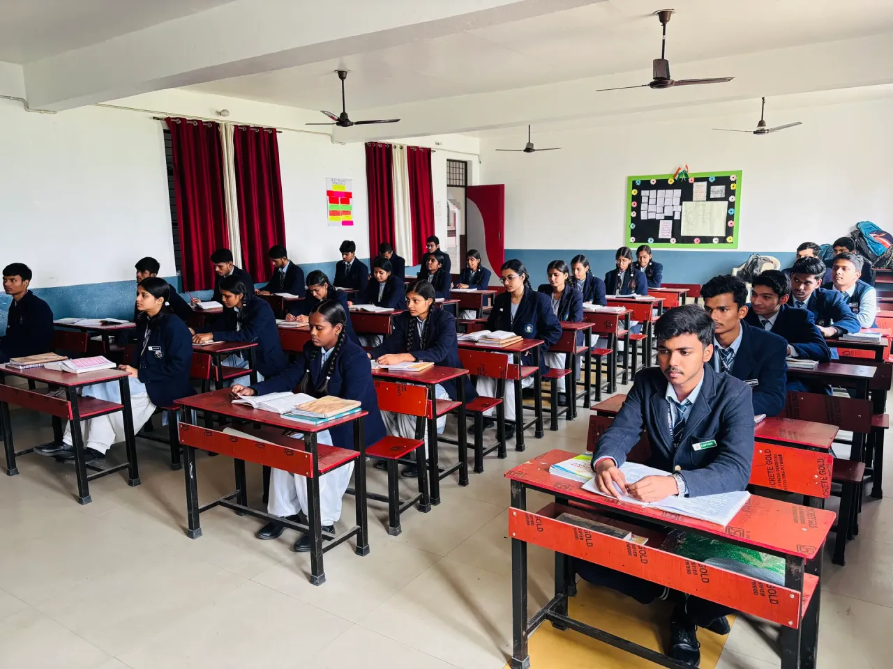 School experience